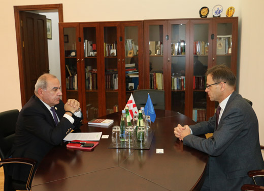 German Ambassador to Georgia Visits TSU